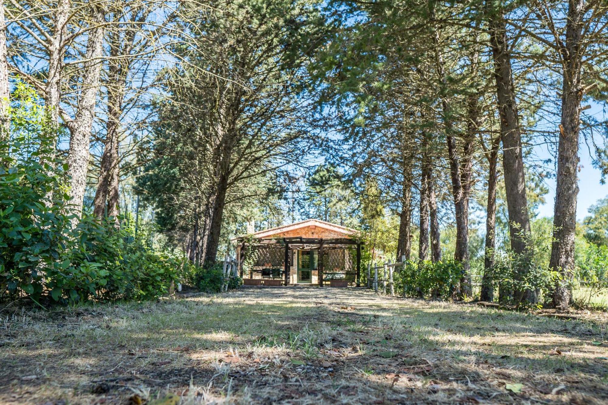 Fattoria Dei Piani Srl Olmedo Exterior foto